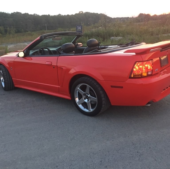 Meet your Posher, Dave - Picture 1 of 1